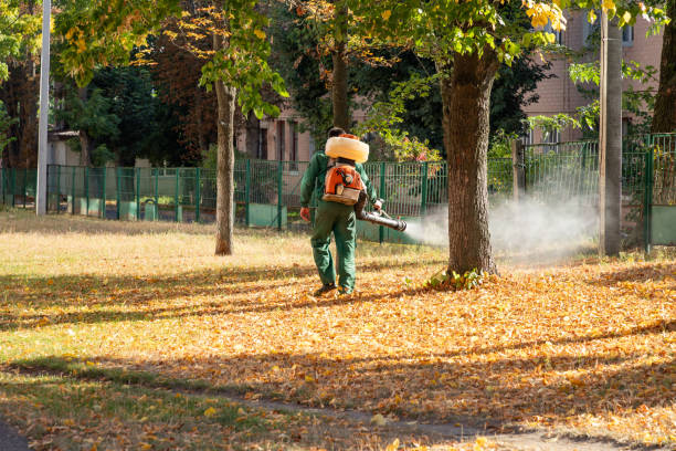Best Flea Control Services  in Coon Rapids, MN