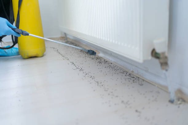 Best Best Pest Control Companies  in Coon Rapids, MN