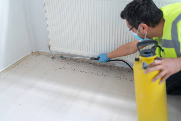 Best Rat Extermination Near Me  in Coon Rapids, MN
