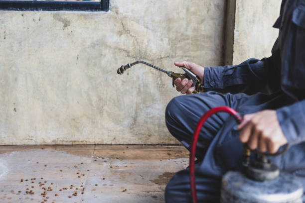 Best Pest Control Near Me  in Coon Rapids, MN