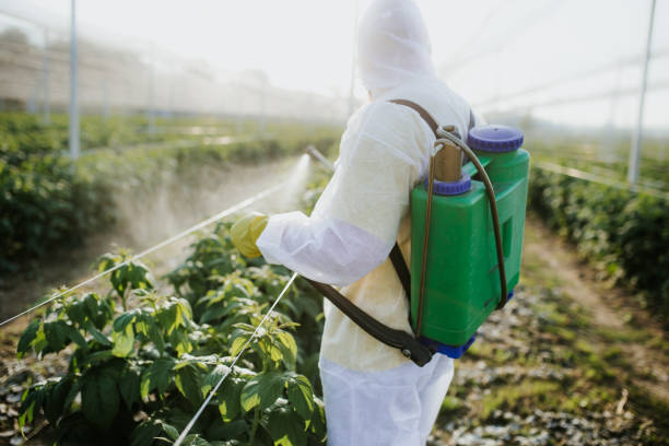 Best Affordable Pest Control Services  in Coon Rapids, MN